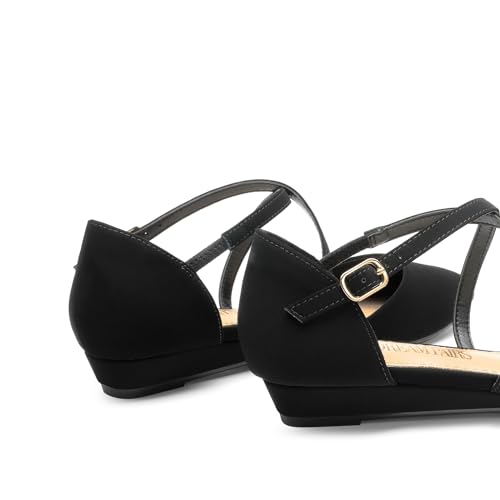 Pointed Toe Low Wedge Heeled Ankle Strap Flats Shoes for Women Dressy Comfortable, Casual Slip-on Dress Shoes for Business