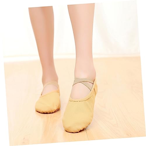 1 Pair Leather Slippers for Men Ballet Dance Shoes Pumps Children Ballet Shoes Leather Flats Shoes for Women Flats Slippers for