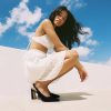 Womens Pumps Pointed Closed Toe Chunky Heel Slingback Heels for Women