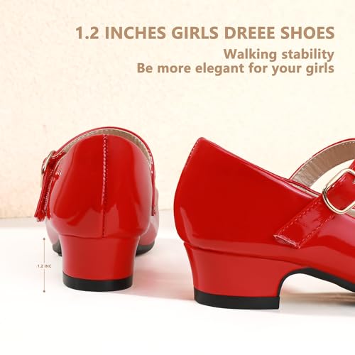 Girls Dress Shoes Toddler Little Big Kid Chunky Heels Wedding Party School PNEMY Flower Girl Shoes